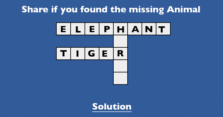Find the missing animal